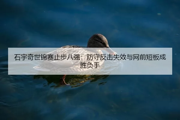 shi-yu-qi-shi-jin-sai-zhi-bu-ba-qiang-fang-shou-fan-ji-shi-xiao-yu-wang-qian-duan-ban-cheng-sheng-fu-shou-2-418.jpg